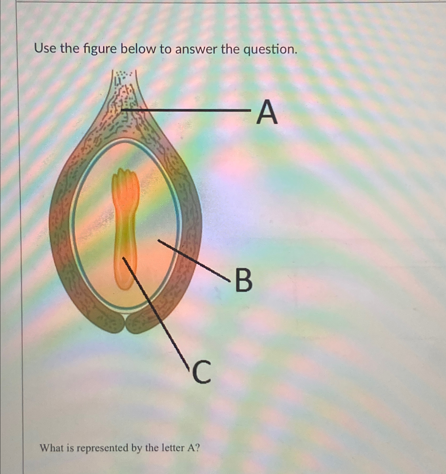  Use the figure below to answer the question what is the
