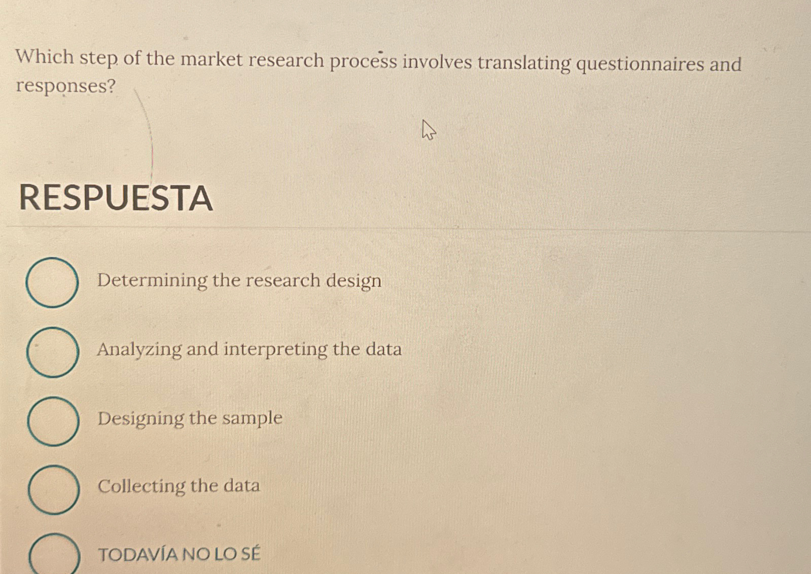  Which step of the market research process involves translating questionnaires and