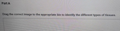  Part A Drag the correct image to the appropriate bin to