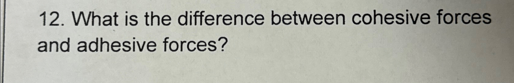  What is the difference between cohesive forces and adhesive forces? 