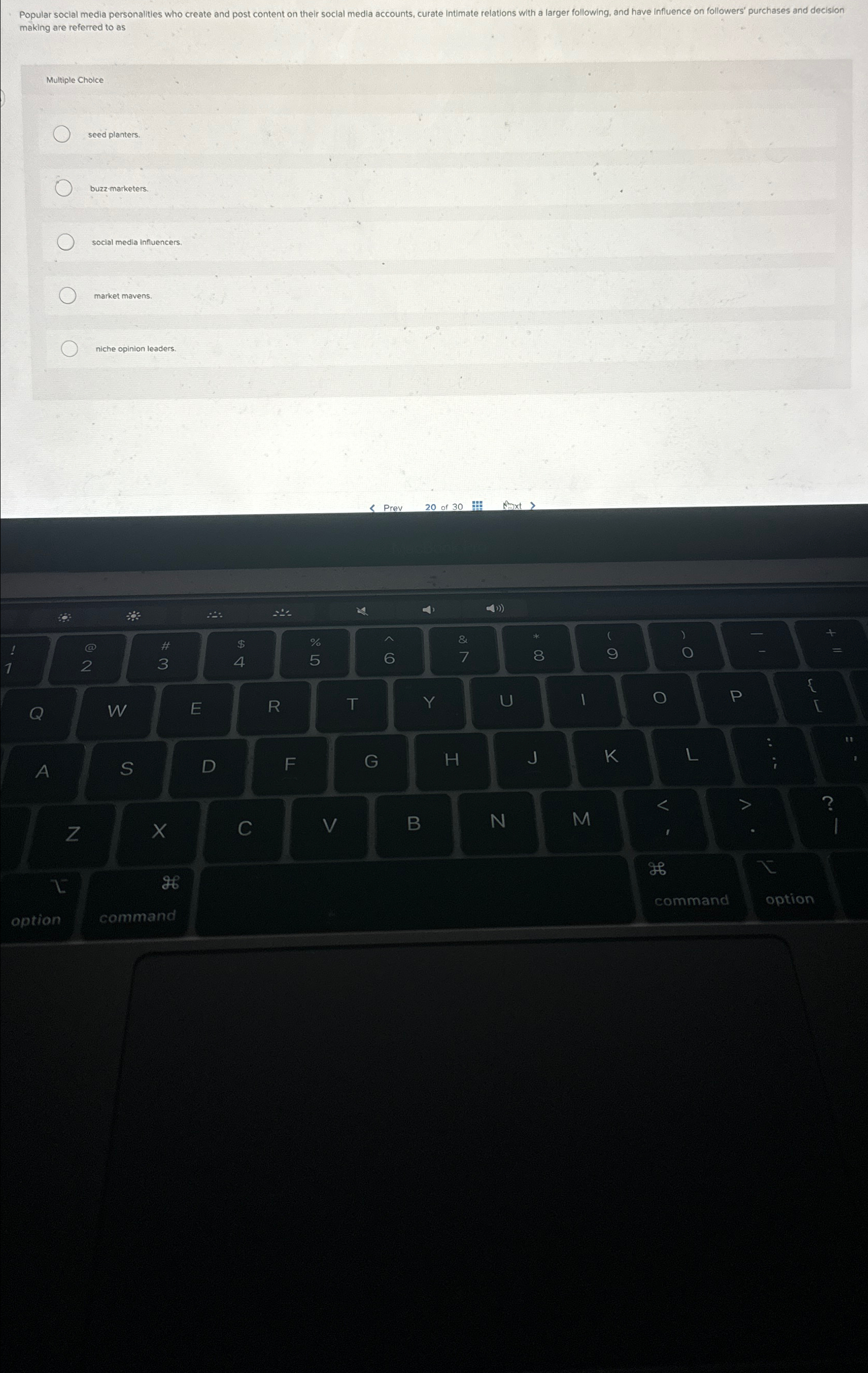  making are referred to as Multiple Choice seed planters buzz marketers