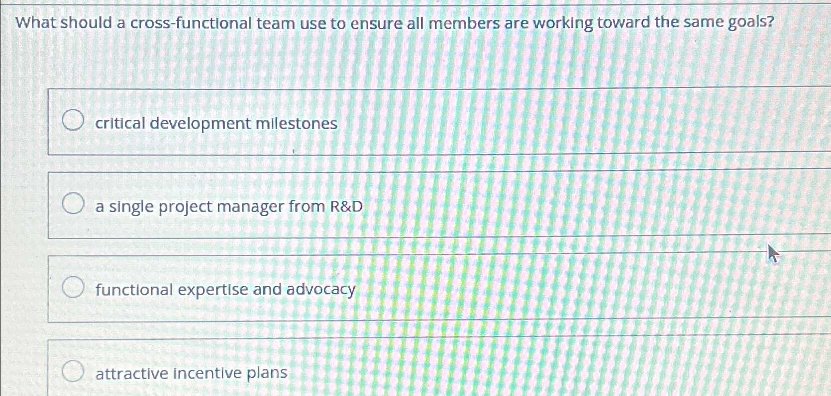  What should a cross-functional team use to ensure all members are