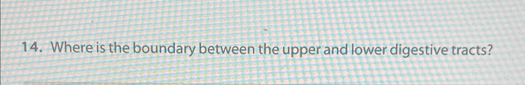  Where is the boundary between the upper and lower digestive tracts?