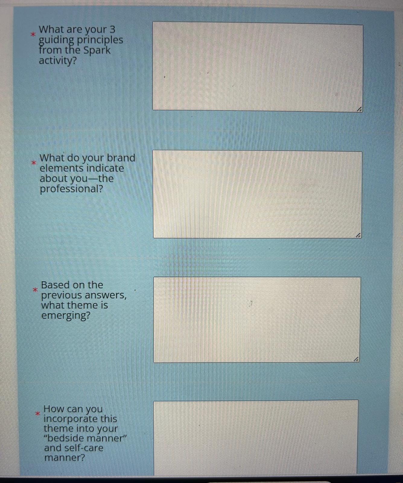  What are your 3 guiding principles from the Spark activity? What