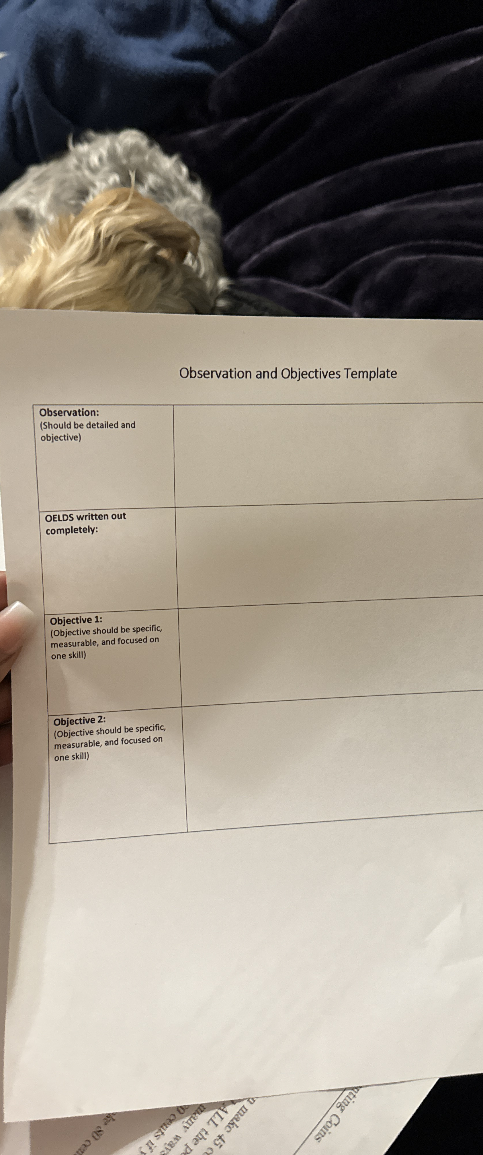  Observation and Objectives Template \table[[Observation:],[(Should be detailed and],[objective)],[\table[[OELDS written out],[completely:]]],[\table[[Objective 1:],[(Objective