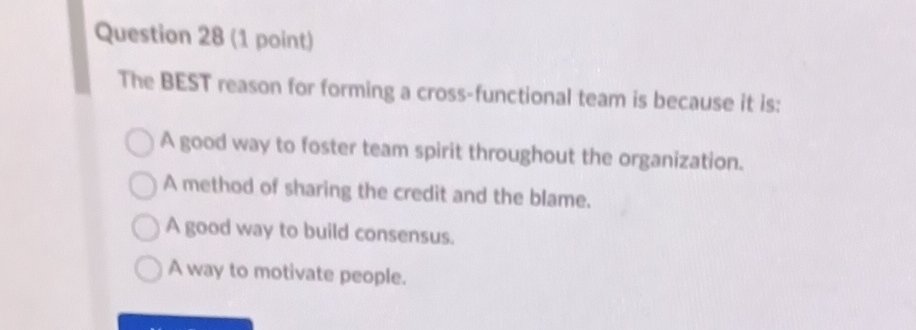  Question 28(1 point) The BEST reason for forming a cross-functional team