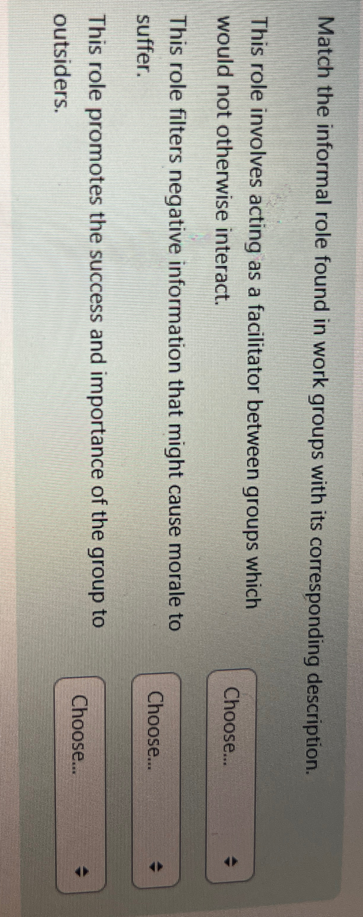  Match the informal role found in work groups with its corresponding