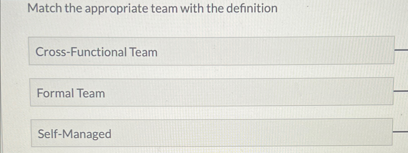  Match the appropriate team with the definition Cross-Functional Team Formal Team