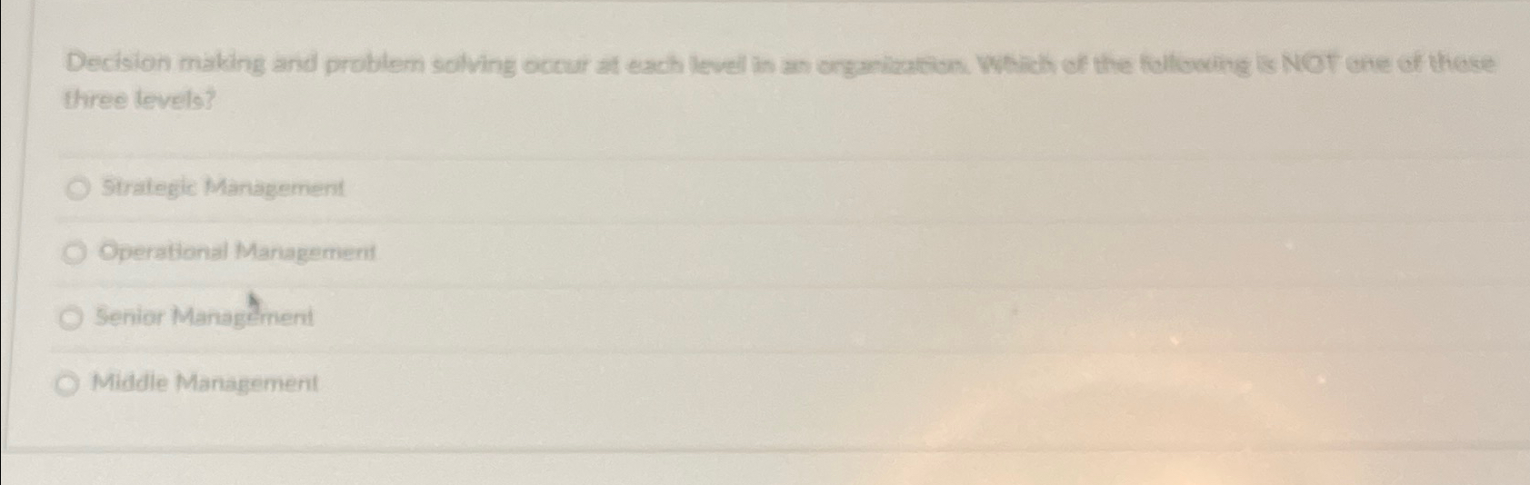  Decision making and problem solving occur at each level in an