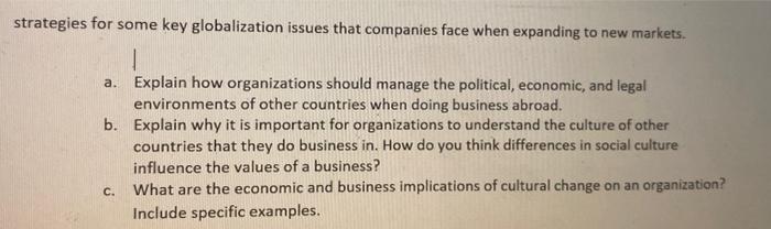  strategies for some key globalization issues that companies face when expanding