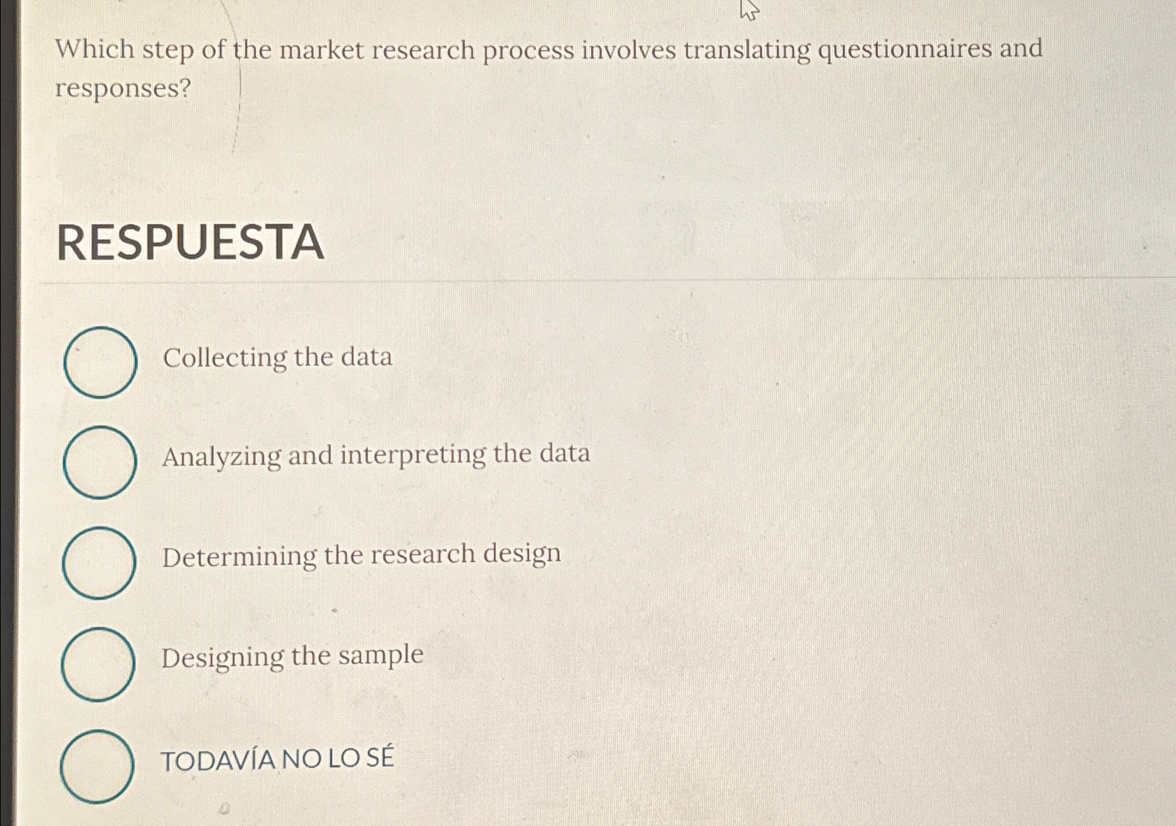  Which step of the market research process involves translating questionnaires and