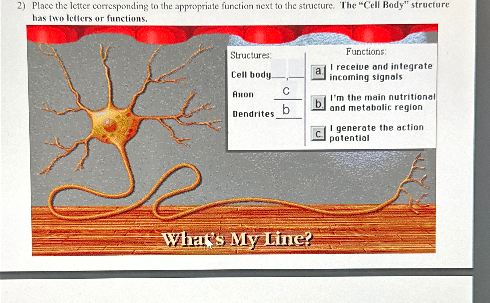  Place the letter corresponding to the appropriate function next to the