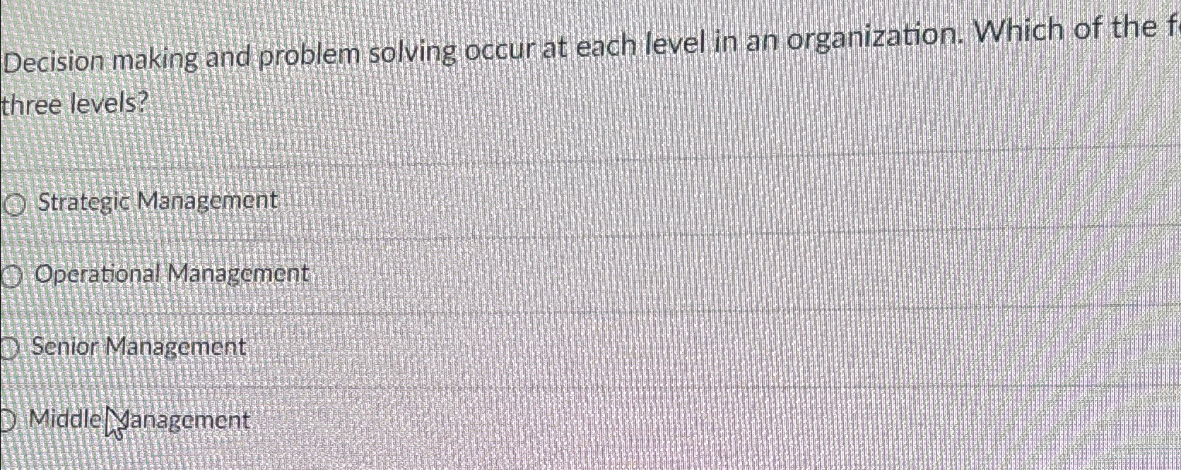  Decision making and problem solving occur at each level in an