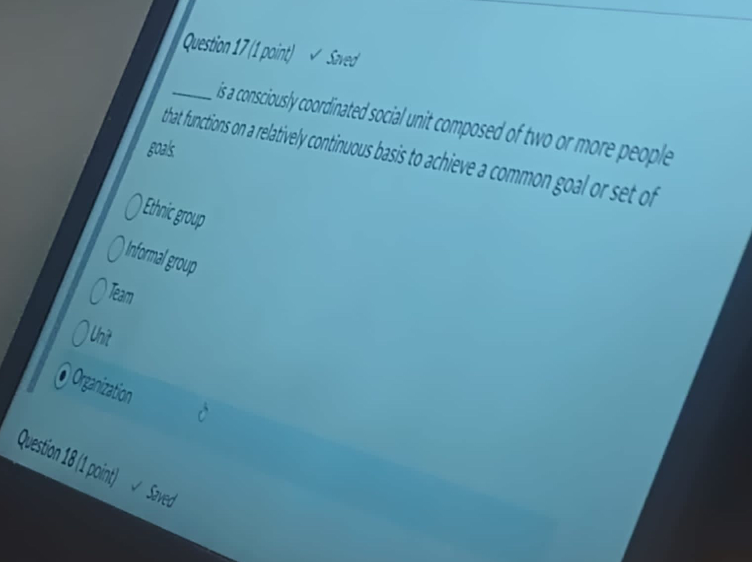 Question 17/I point) v sined is a consciously coordinated social unit