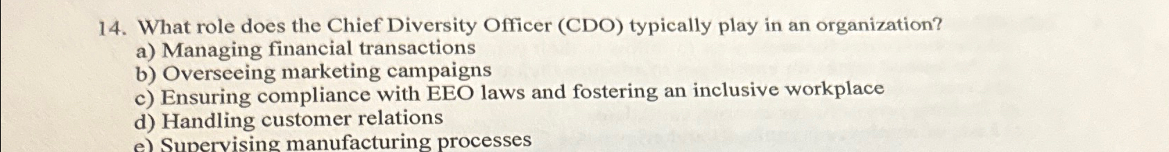  What role does the Chief Diversity Officer (CDO) typically play in