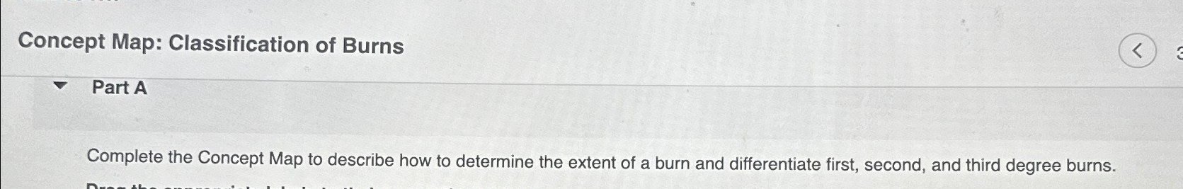  Concept Map: Classification of Burns 
