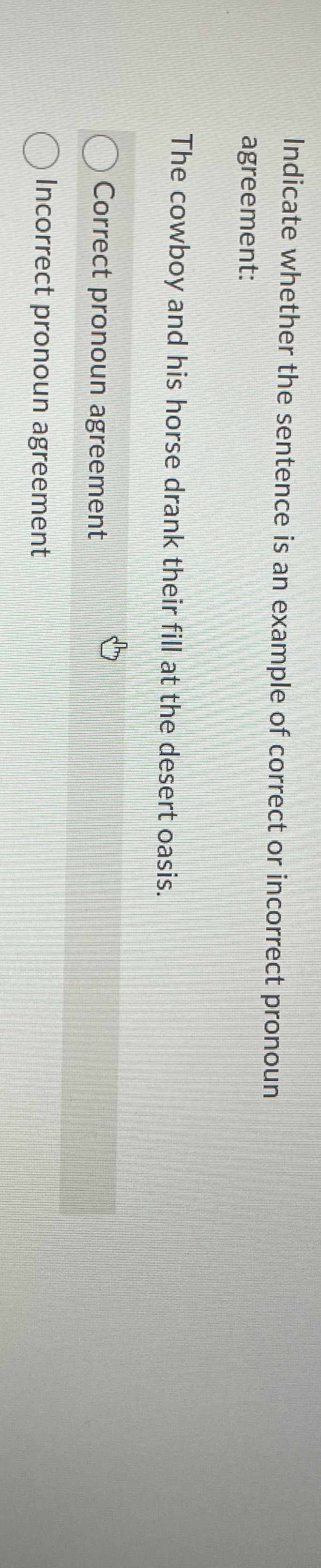  Indicate whether the sentence is an example of correct or incorrect