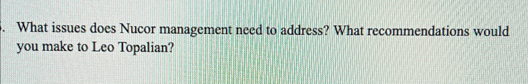  What issues does Nucor management need to address? What recommendations would