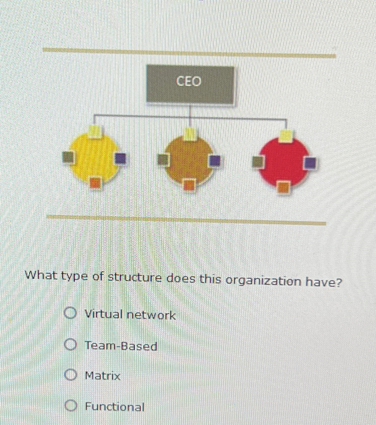  What type of structure does this organization have? Virtual network Team-Based