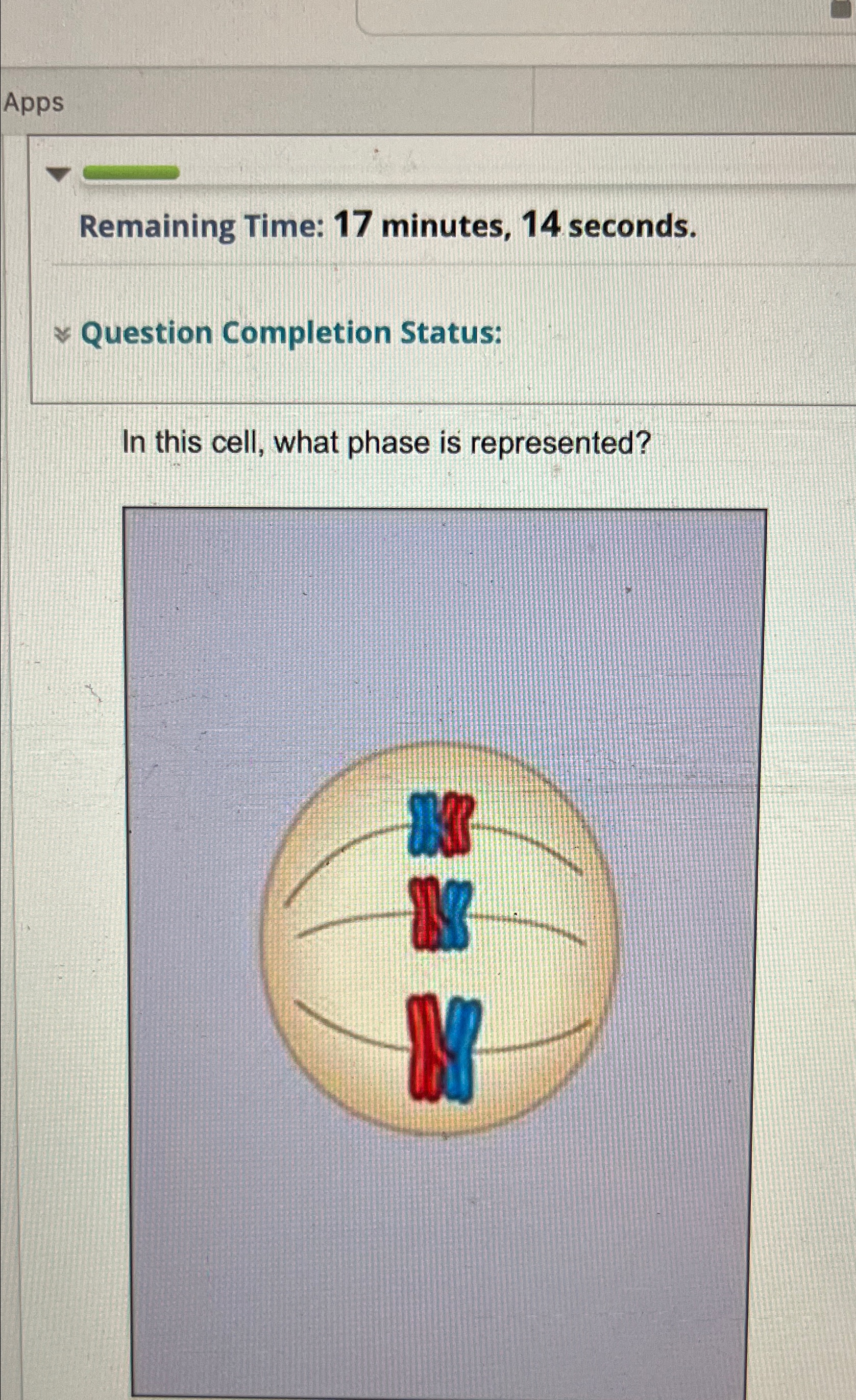  Apps Remaining Time: 17 minutes, 14 seconds. ~~ Question Completion Status: