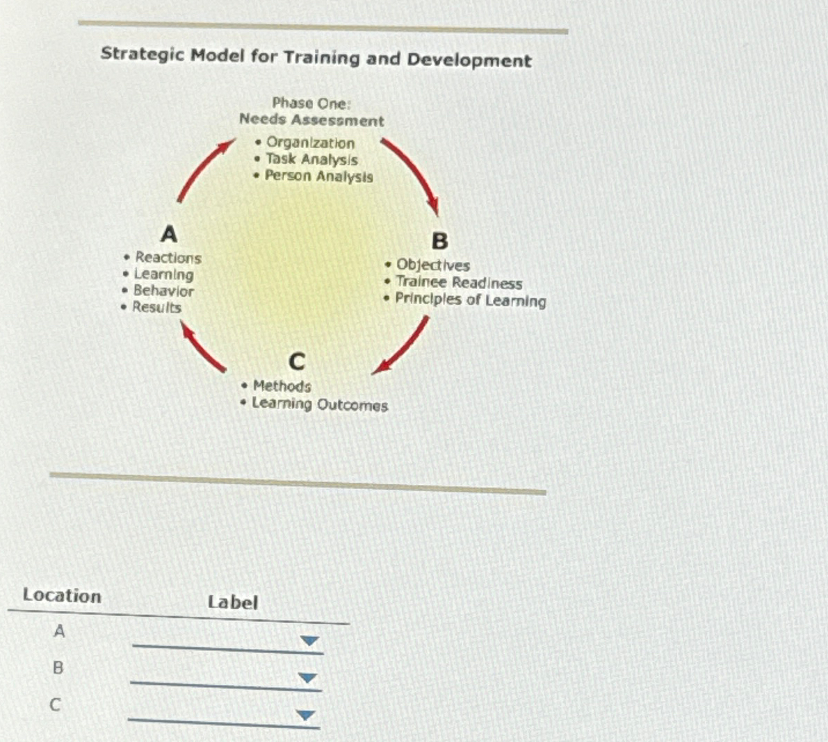  Strategic Model for Training and Development Phase One: Needs Assessment Organization
