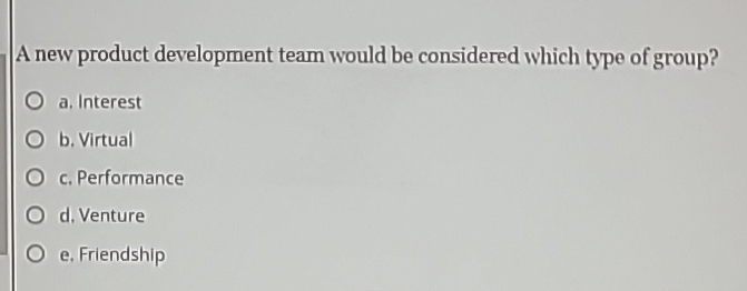  A new product development team would be considered which type of