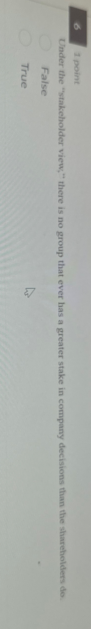  1 point Under the "stakeholder view," there is no group that