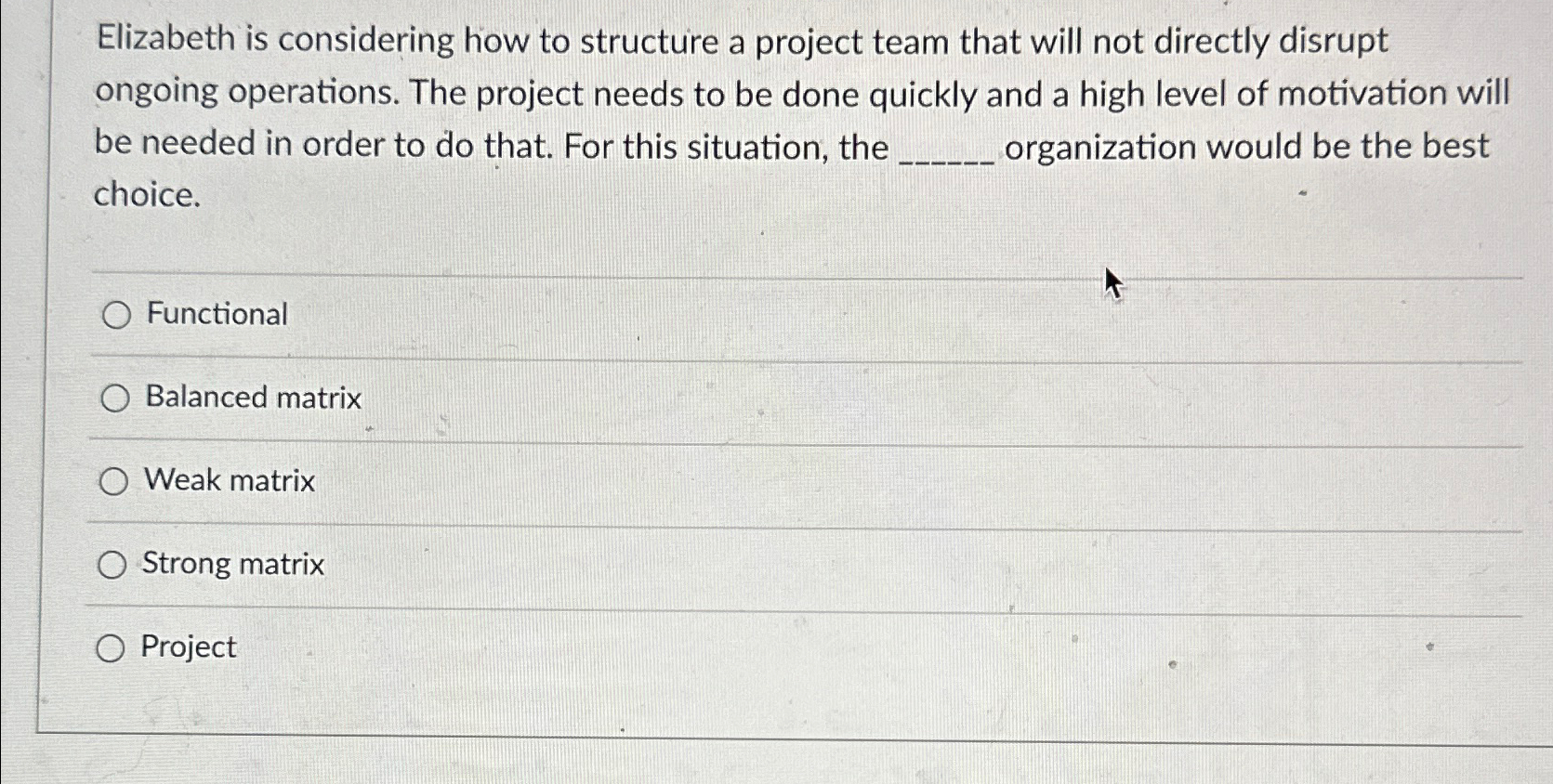  Elizabeth is considering how to structure a project team that will