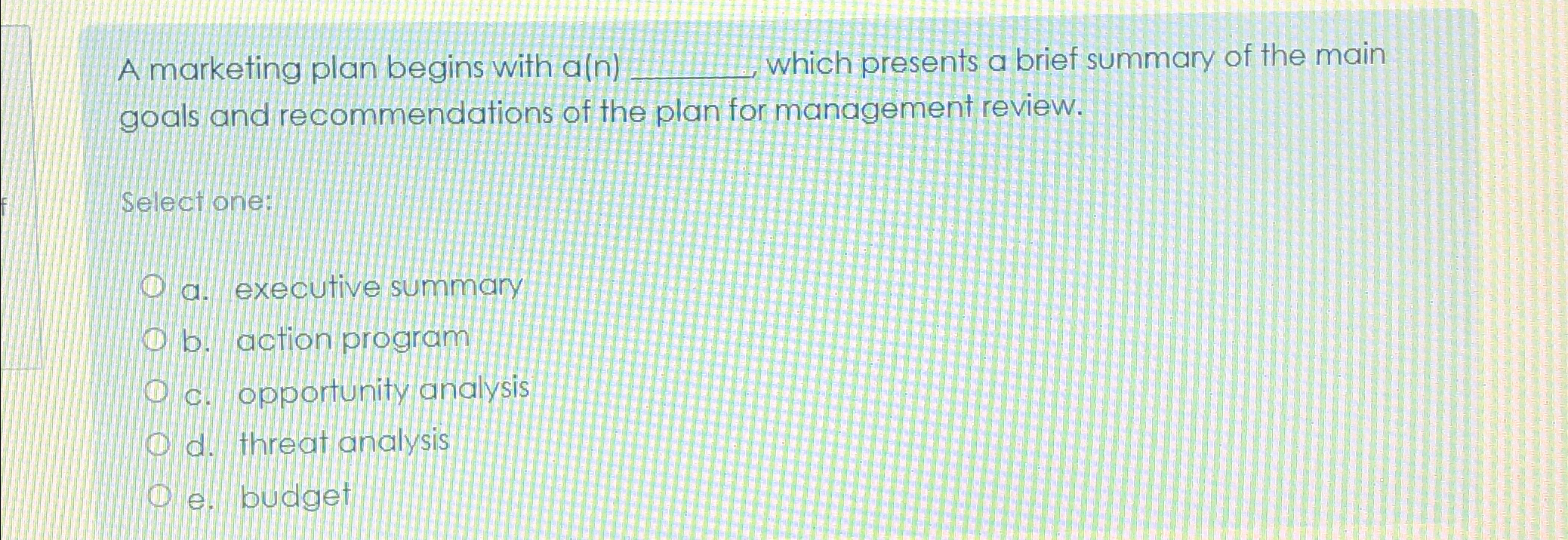  A marketing plan begins with a(n) which presents a brief summary