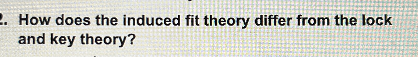  How does the induced fit theory differ from the lock and