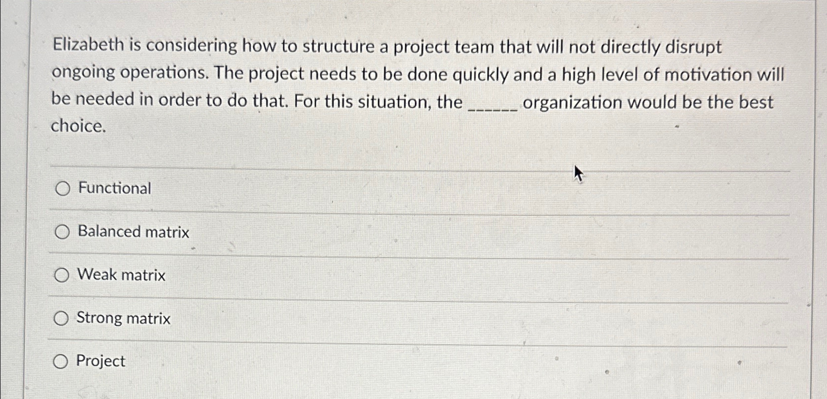  Elizabeth is considering how to structure a project team that will