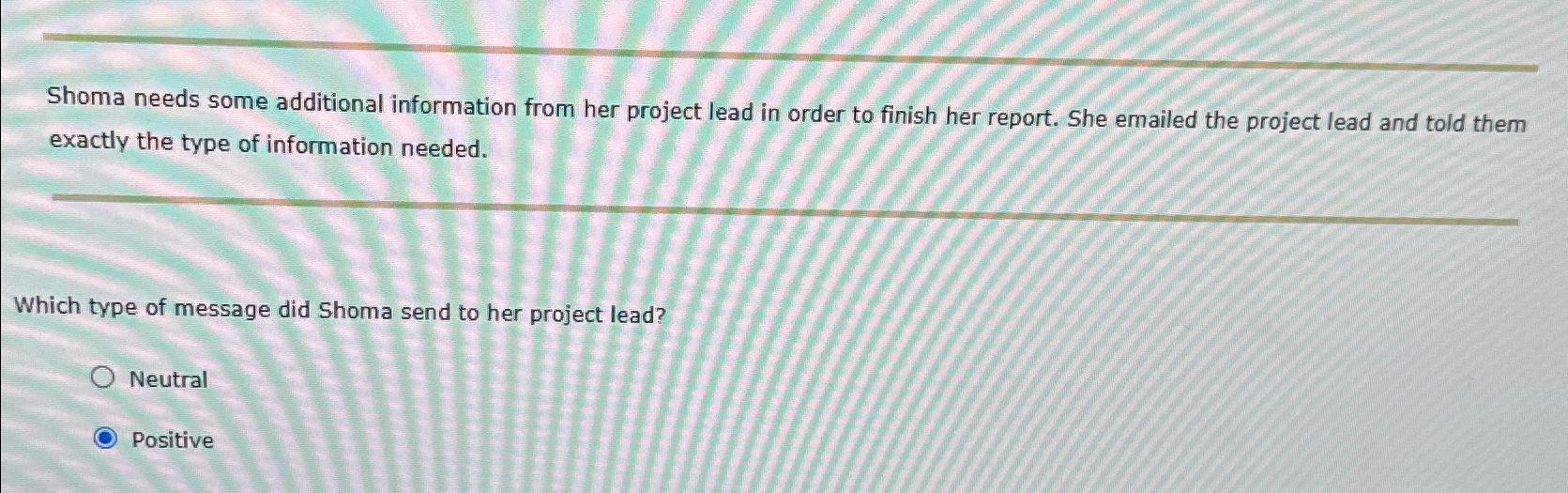  Shoma needs some additional information from her project lead in order