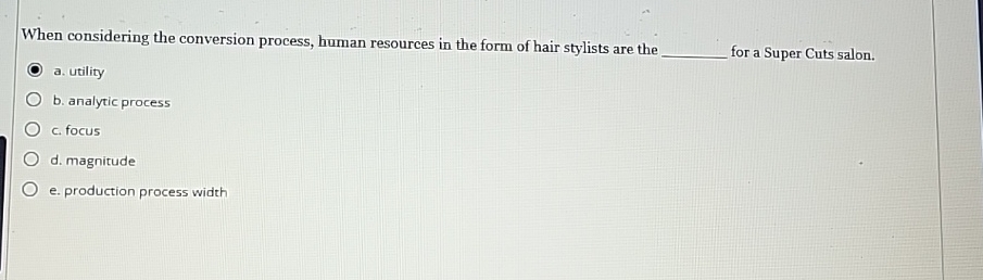  When considering the conversion process, human resources in the form of