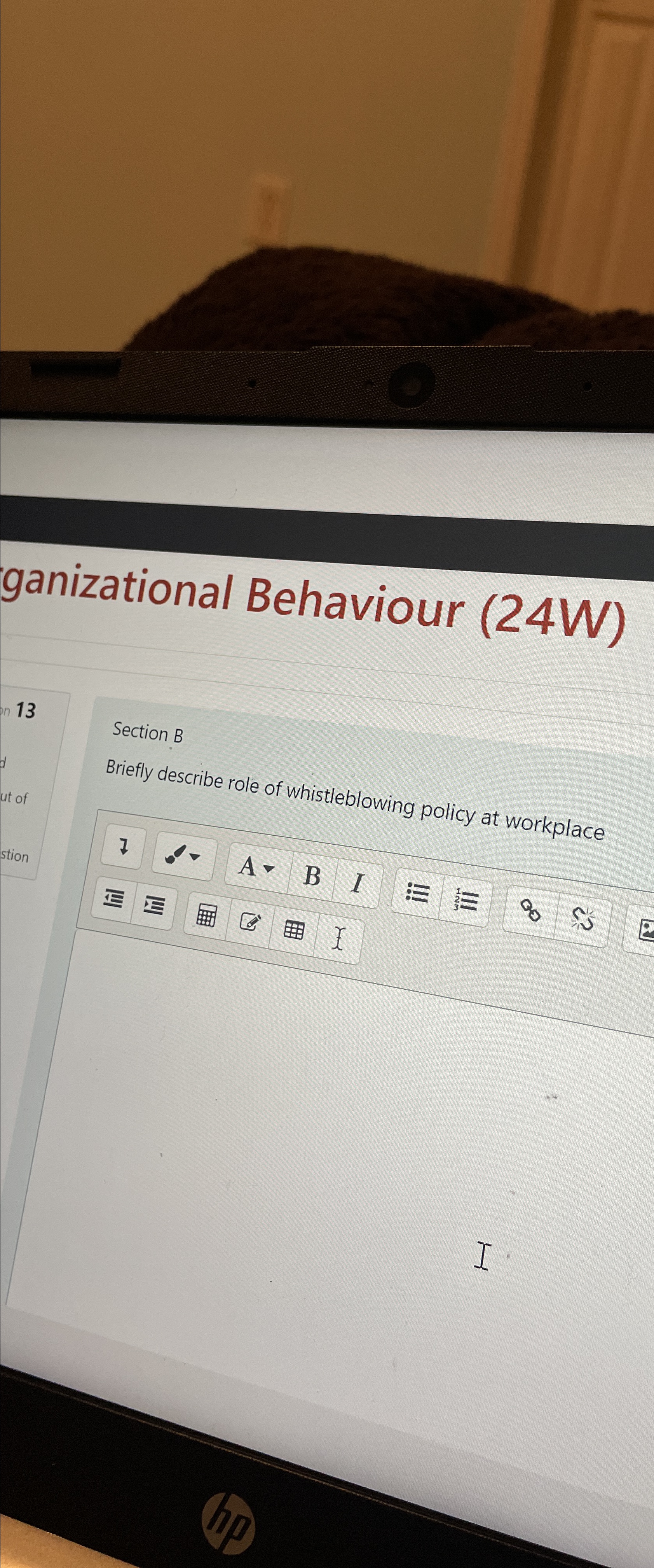  ganizational Behaviour (24W) 13 Section B Briefly describe role of whistleblowing