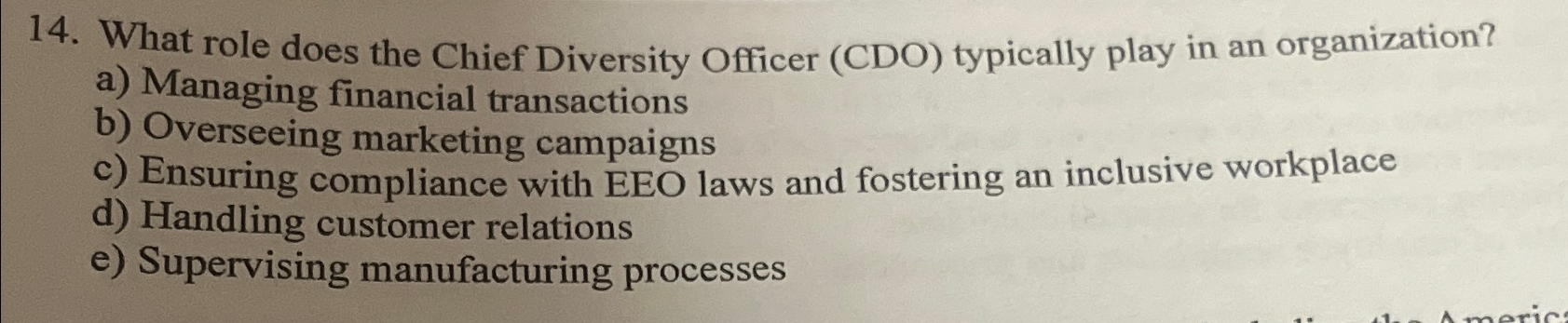  What role does the Chief Diversity Officer (CDO) typically play in