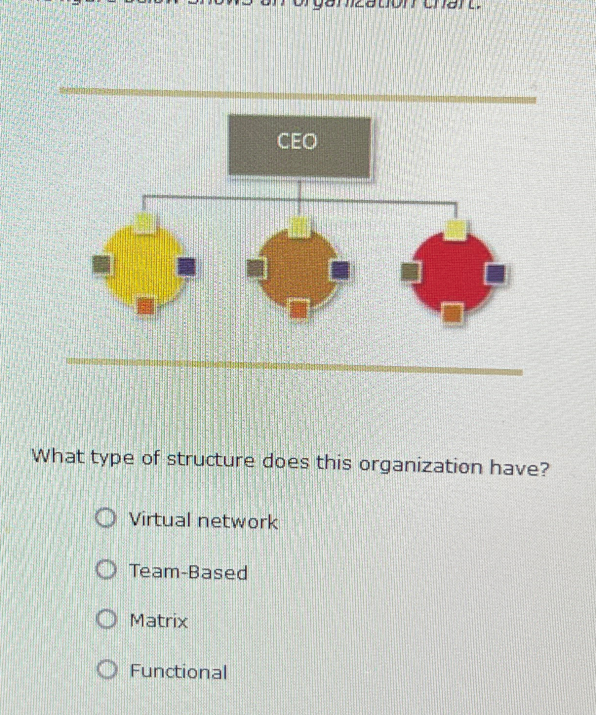  What type of structure does this organization have? Virtual network Team-Based
