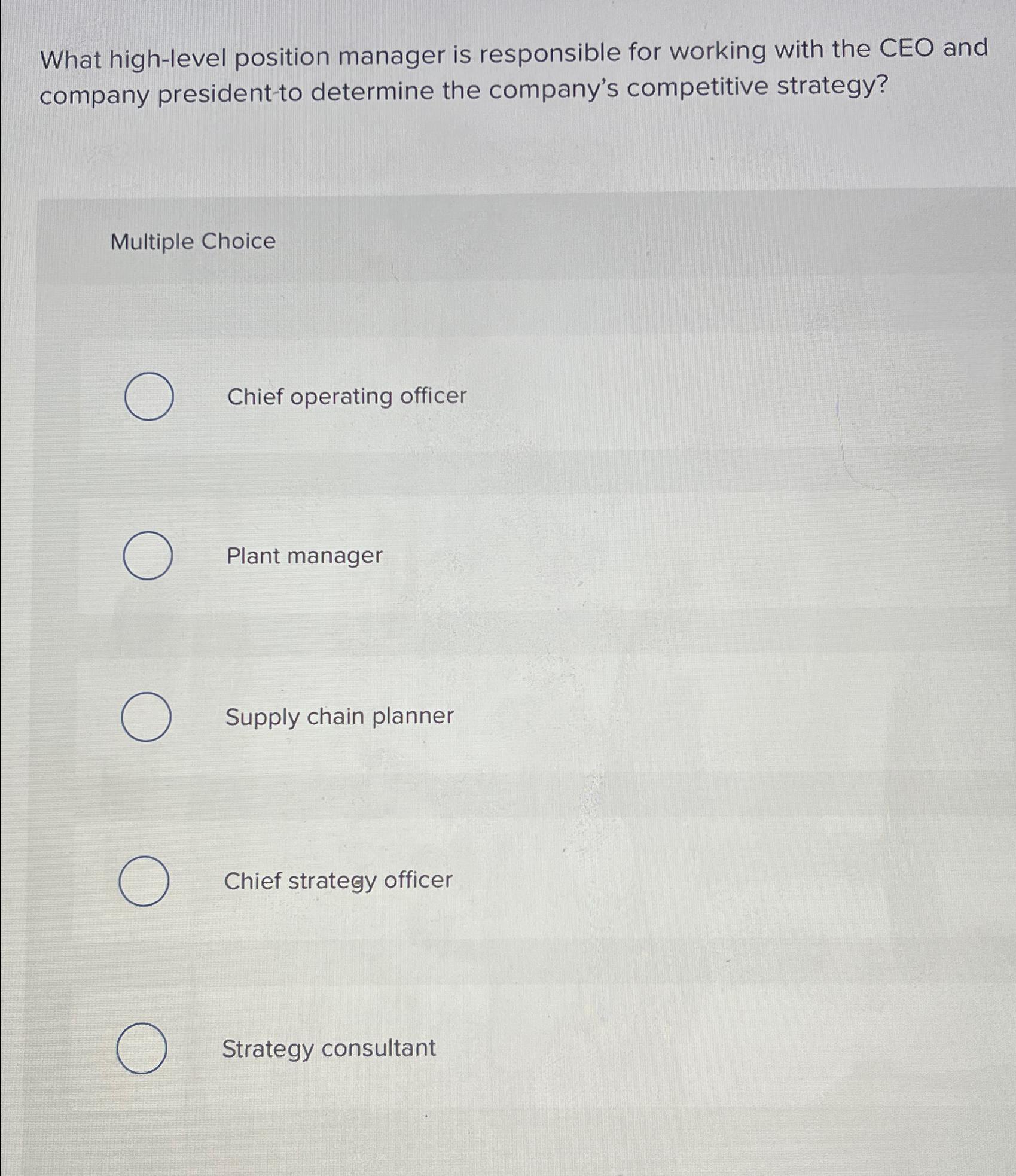  What high-level position manager is responsible for working with the CEO