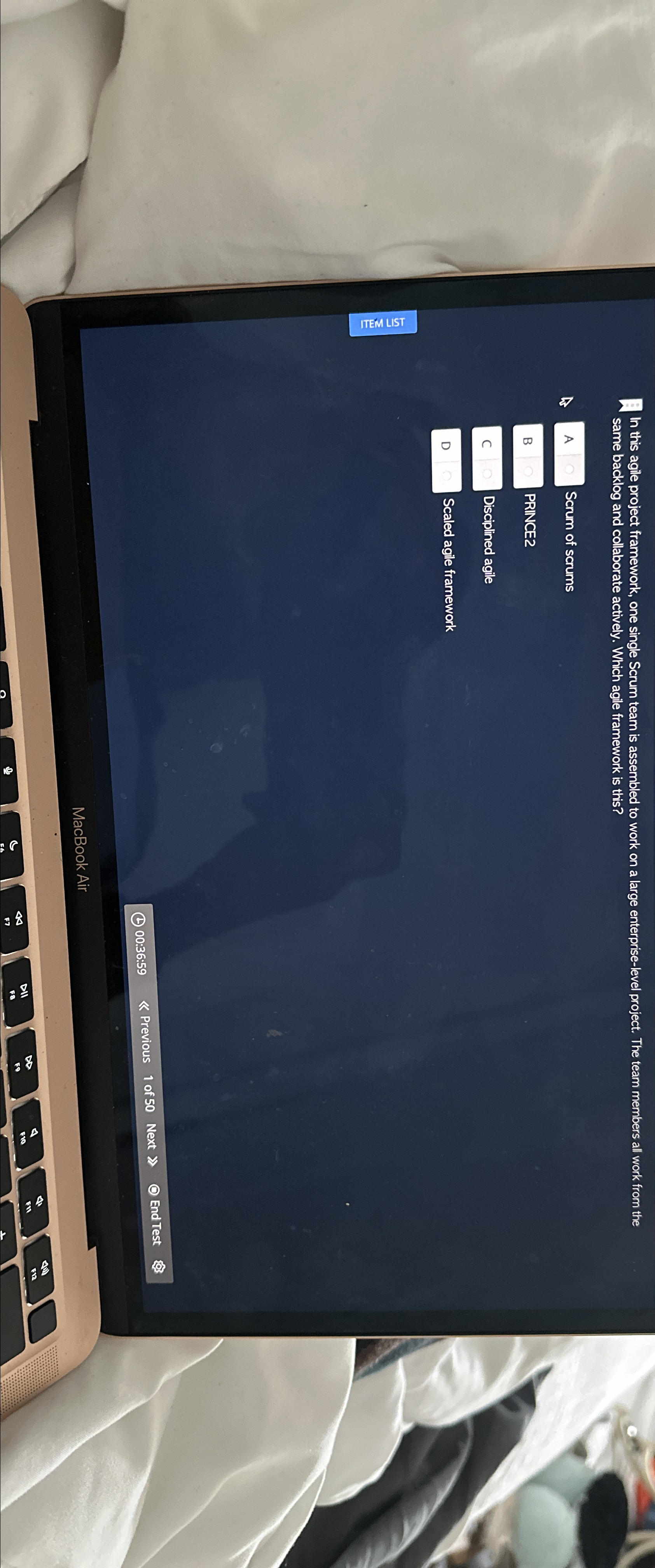  In this agile project framework, one single Scrum team is assembled