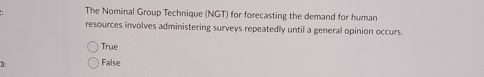  The Nominal Group Technique (NGT) for forecasting the demand for human