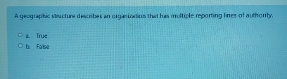  A geographic structure describes an organization that has multiple reporting lines