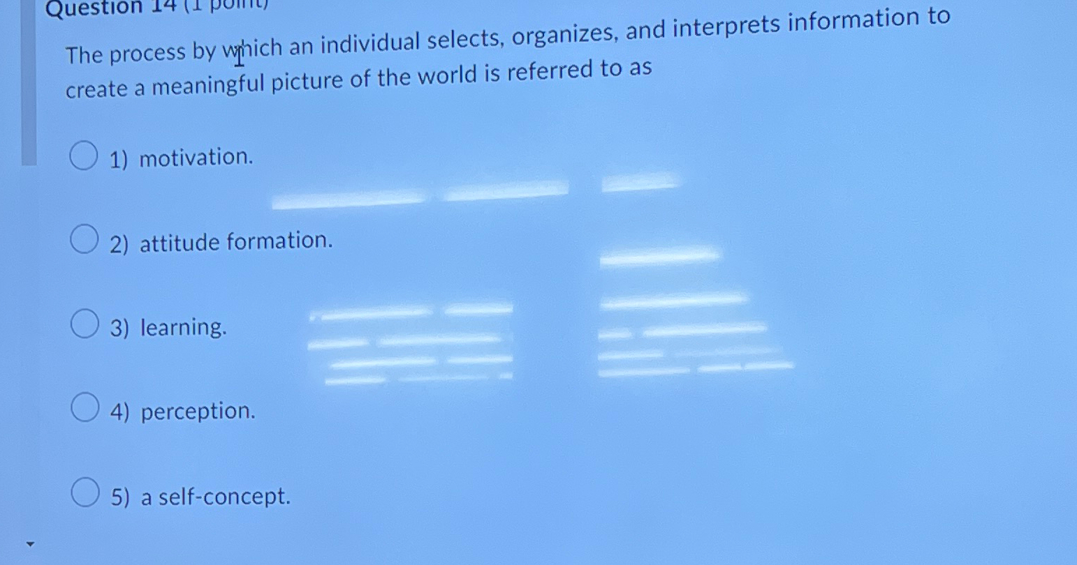  The process by which an individual selects, organizes, and interprets information
