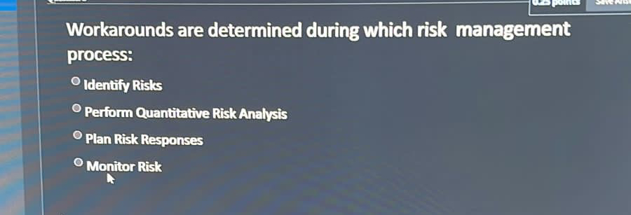  Workarounds are determined during which risk management process: OIdentify Risks Perform
