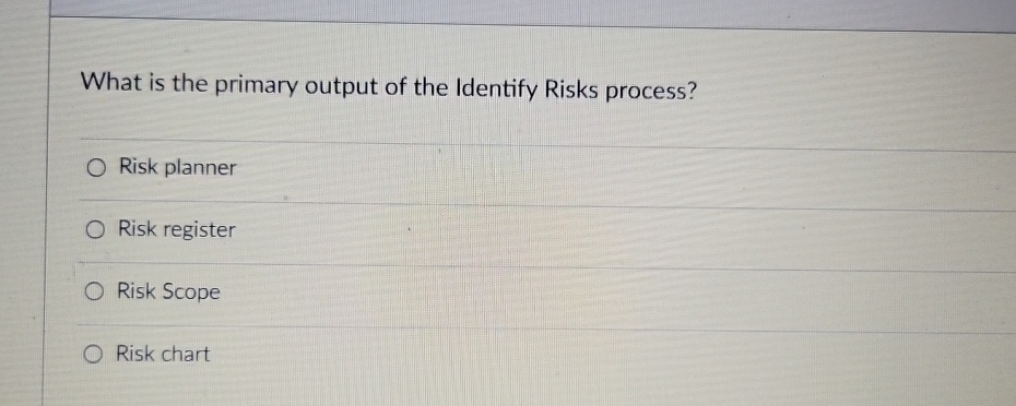  What is the primary output of the Identify Risks process? Risk