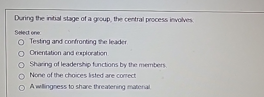  During the initial stage of a group, the central process involves: