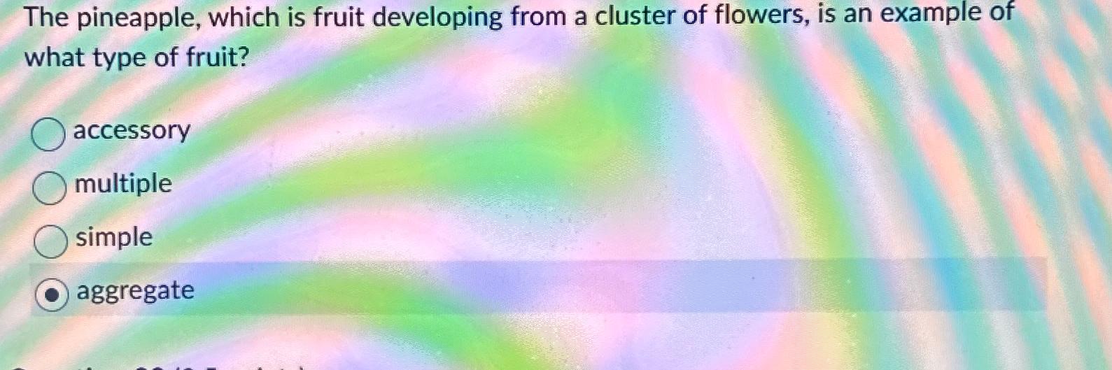  The pineapple, which is fruit developing from a cluster of flowers,