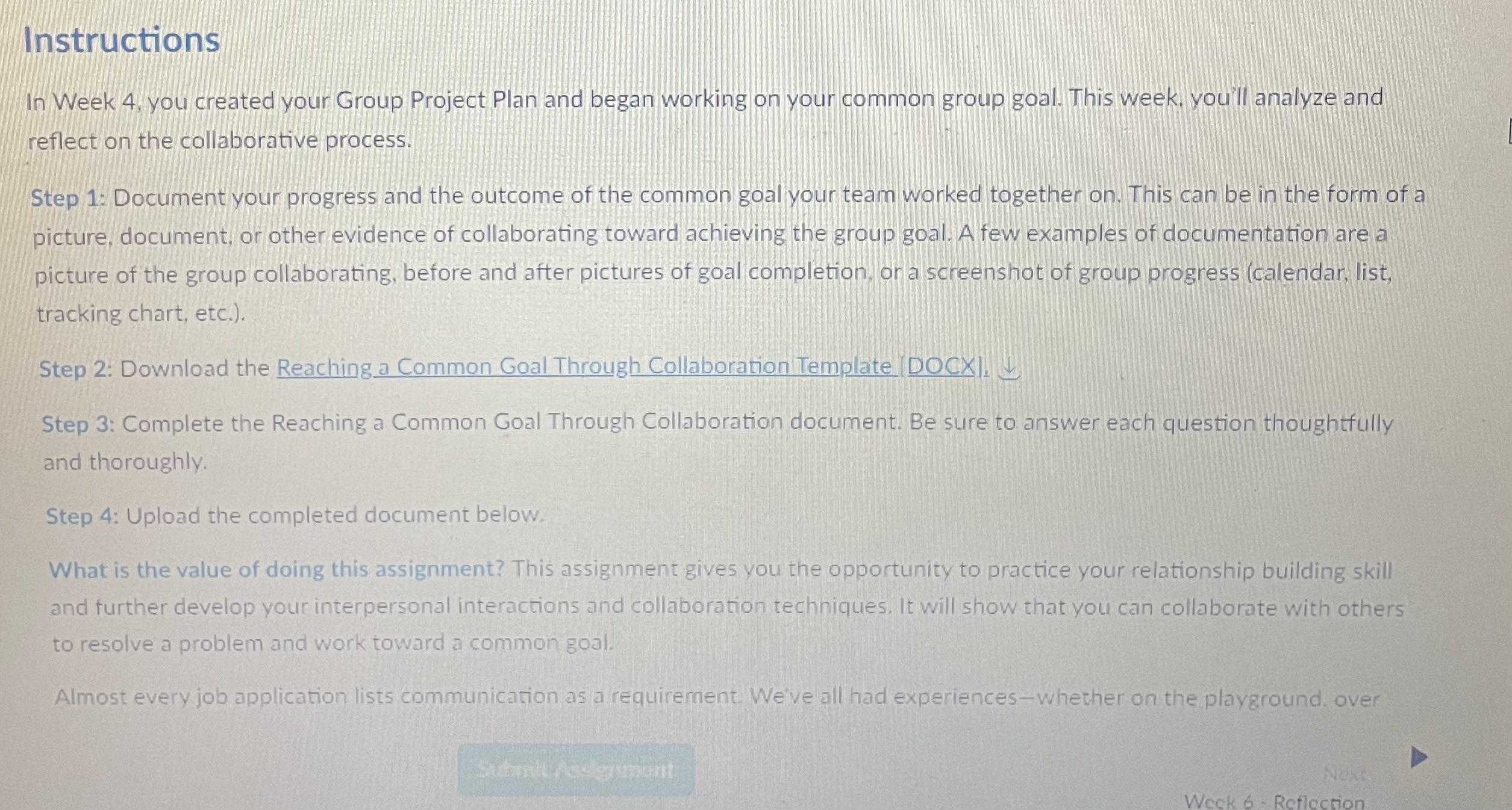  Instructions In Week 4, you created your Group Project Plan and