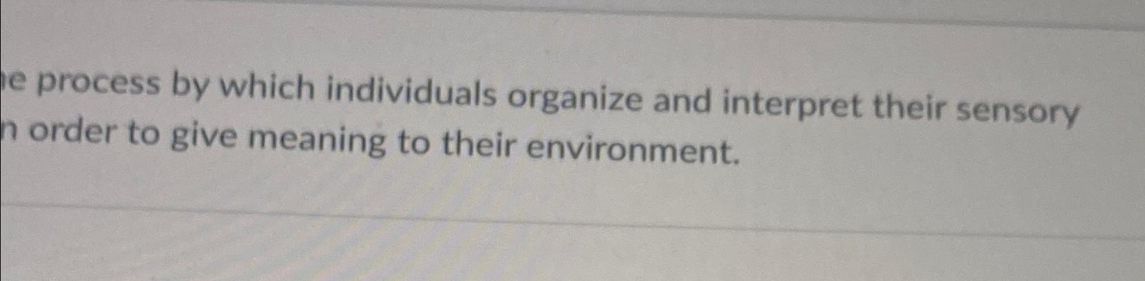  e process by which individuals organize and interpret their sensory horder