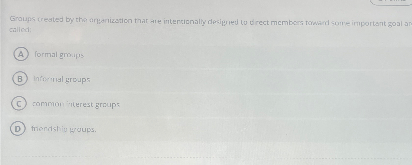  Groups created by the organization that are intentionally designed to direct
