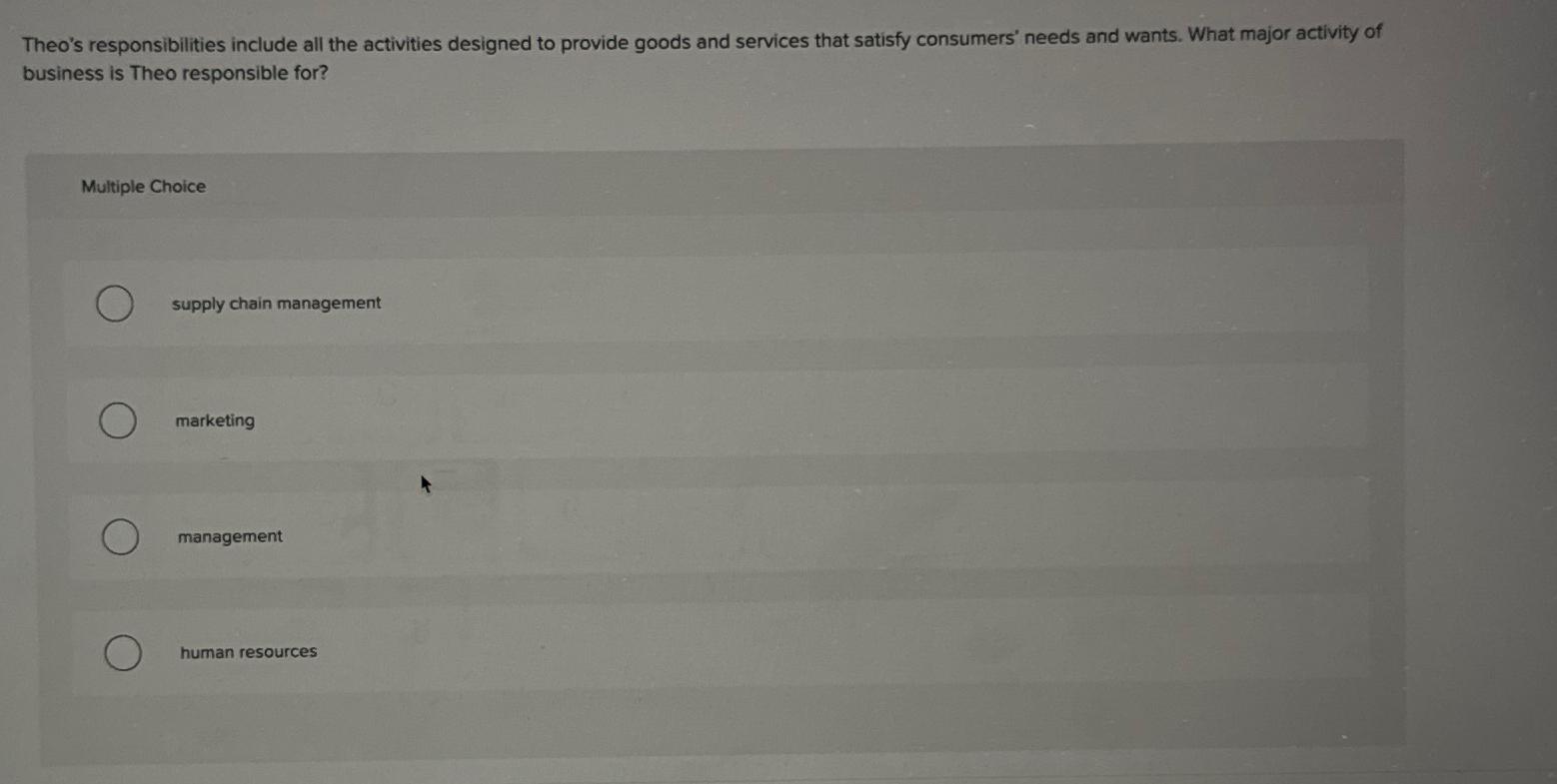  Theo's responsibilities include all the activities designed to provide goods and