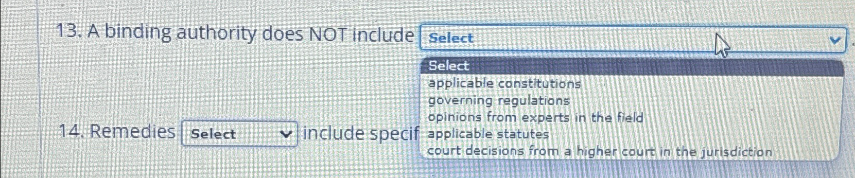  A binding authority does NOT include applicable constitutions governing regulations opinions